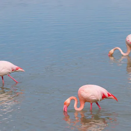 Casa El Oasis * Calp